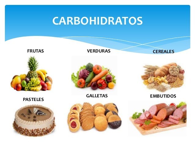 Qu son los carbohidratos
