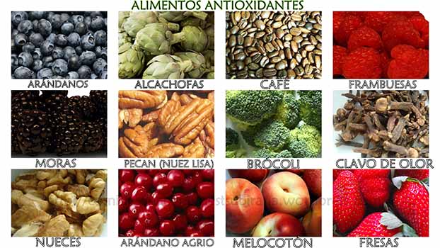 Antioxidantes en los alimentos